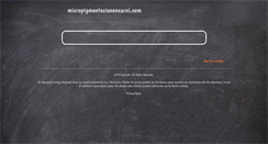 Desktop Screenshot of micropigmentacionencarni.com